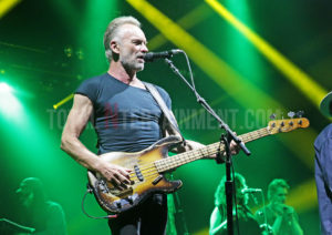 Sting, Shaggy, Music, Tour, TotalNtertainment, Review, Sakura