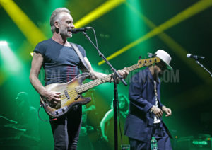 Sting, Shaggy, Music, Tour, TotalNtertainment, Review, Sakura