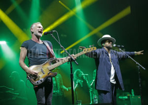 Sting, Shaggy, Music, Tour, TotalNtertainment, Review, Sakura