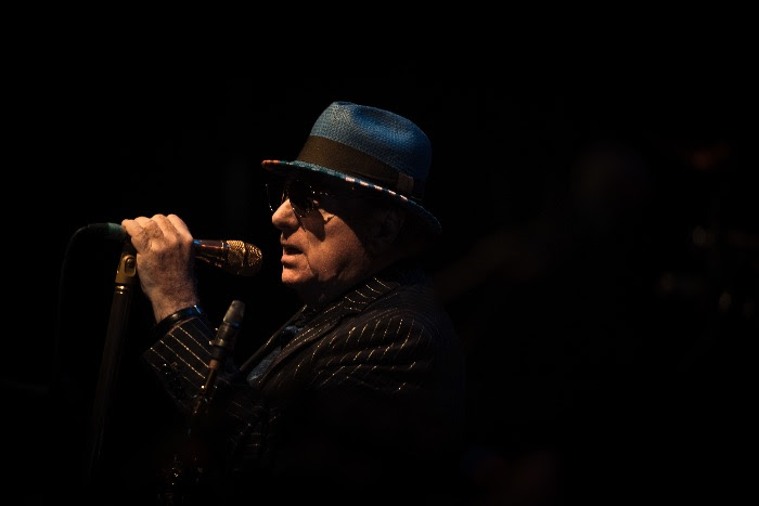 Van Morrison, Music, Live Stream, TotalNtertainment